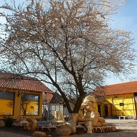 Vendégház Gasthaus Catona 5*